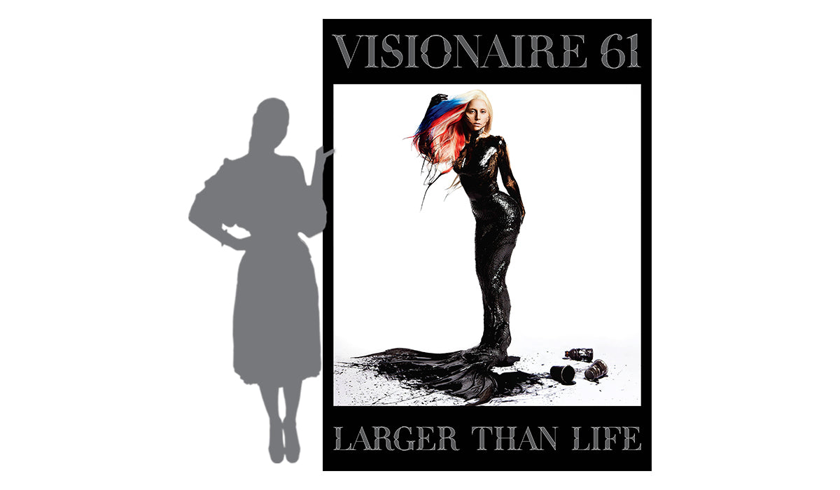 アート本　VISIONAIRE 45 アート本 VISIONAIRE 45│hiai.co.jp