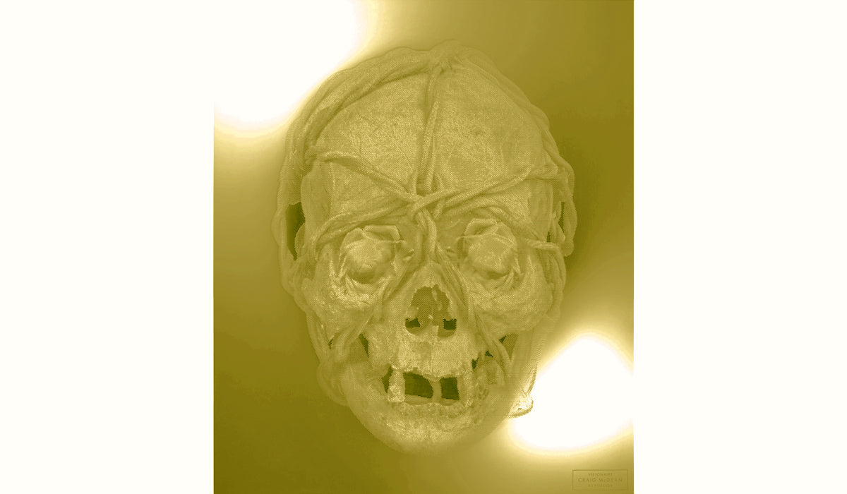 VISIONAIRE 63 FOREVER GOLD