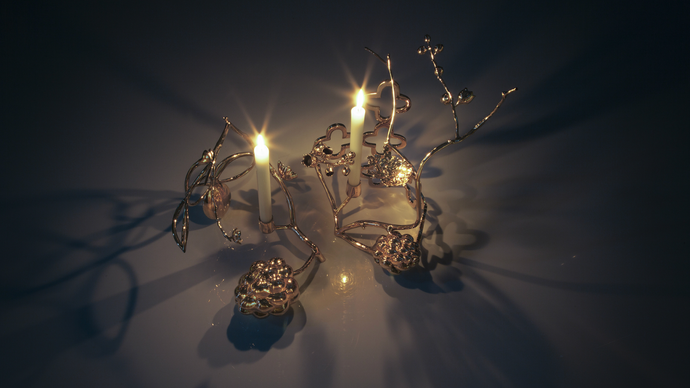 DAVID WISEMAN’S WILDERNESS AND ORNAMENT