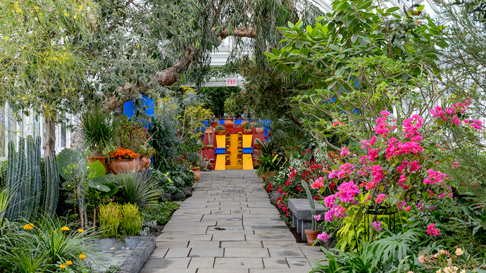 FRIDA KAHLO’S BOTANICAL GARDEN