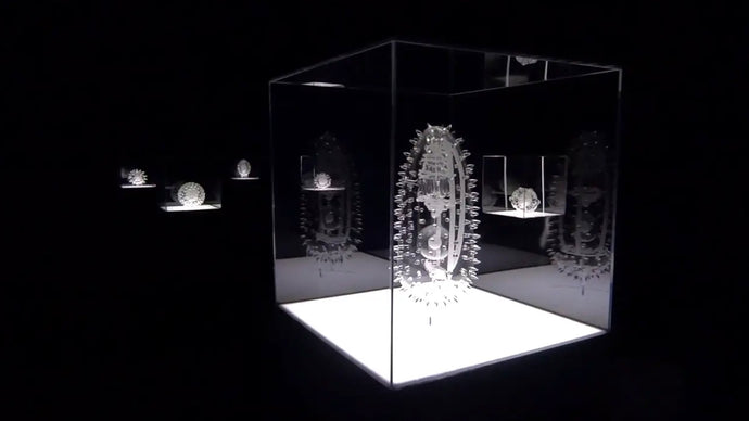 LUKE JERRAM’S BIOLOGY