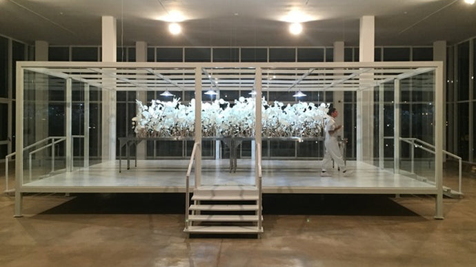 RIRKRIT TIRAVANIJA’S TOMORROW