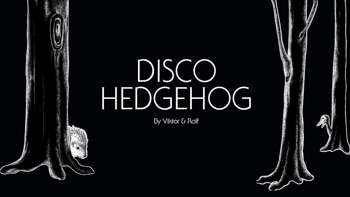 VIKTOR & ROLF’S DISCO HEDGEHOG