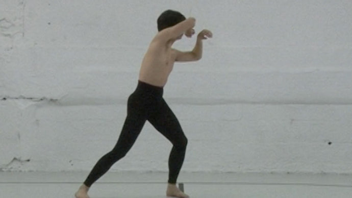 MELITTA BAUMEISTER AND PAUL JUNG’S BROOKLYN DREAMSCAPE